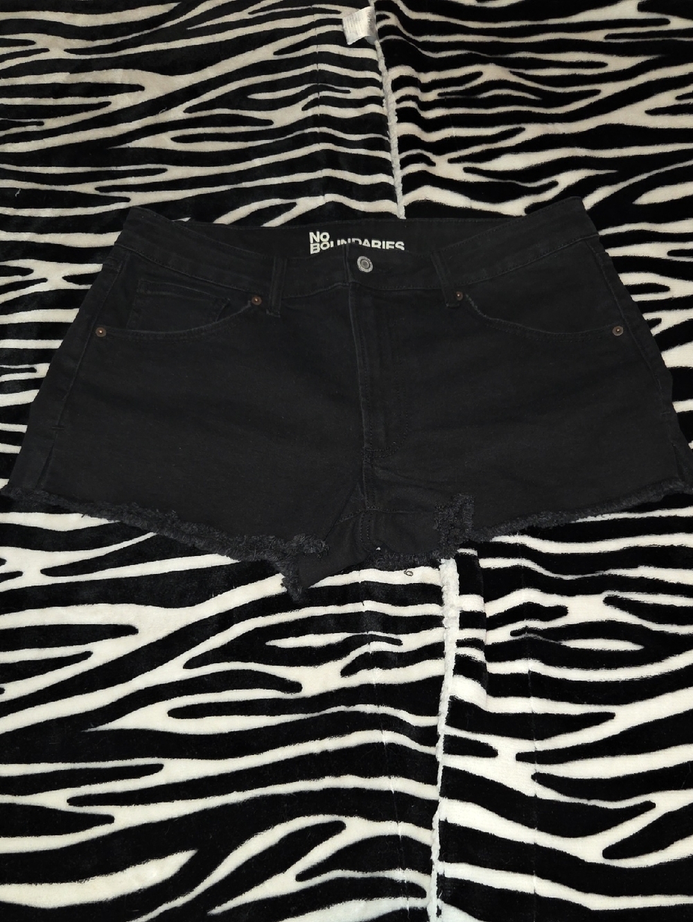 No Boundaries Shorts (New Without Tags)